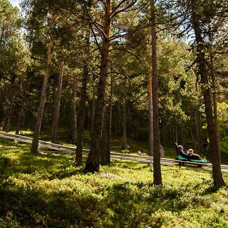 Apartamento Ribasol Vallnord En Arinsal Tintin Luaran gambar